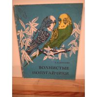 Волнистые попугайчики Советы