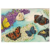 Посткроссинг. Открытка из Германии: бабочки (12,5х18). Прошла почту. Художественные марки, чёткий штемпель.