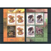 Беларусь 2008. Грибы. Квартблоки с купонами