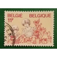 Бельгия 1983. Домашнее хозяйство