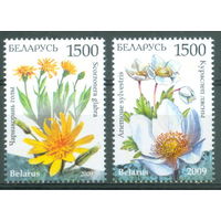 2009. 786-787. Козелец голый и Ветреница лесная