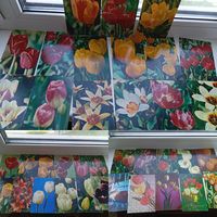 Открытки 145 штук цветы и другое Тюльпаны Георгины Хризантемы и другое чистые