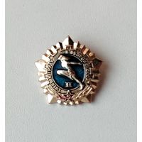 ГТО 2 степень. П-41.