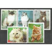 Шарджа. Кошки. 1972г. Mi#1030-34. Серия.