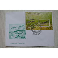 1997, КПД, Беларусь, блок, СГ; Рыбы.