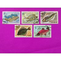 СССР. Промысловые рыбы. ( 5 марок ) 1983 года. 8-1.
