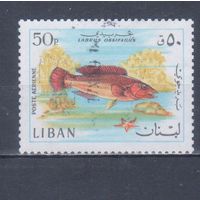 [759] Ливан 1968. Фауна.Рыба.50 п. Гашеная марка.