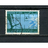 Королевство Ливия - 1963 - 15-я годовщина Декларации прав человека 50М - [Mi.141] - 1 марка. Гашеная.  (Лот 15HX)-TG3P35