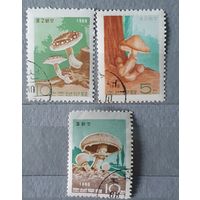 КНДР грибы 3шт