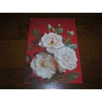 8 Марта Дергилев 1990 год Провизорий 2 рубля Подписана Прошла почту