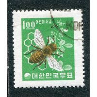 Корея южная. Медоносная пчела