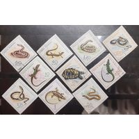 Румыния. 1965 год. Фауна. Пресмыкающиеся (1069)