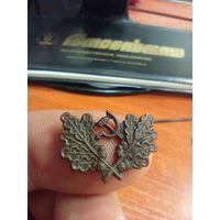 Кокарда лесника редкая (латунь)