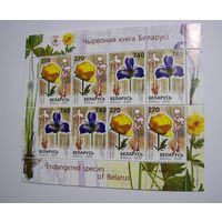 МАрки РБ. Цветы. Купальница европейская. Ирис. М/Л. 2003