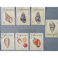 Куба ракушки 7шт