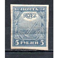 Стандартный выпуск РСФСР 1921 год 1 марка