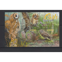 Малави 2022 Хищные Птицы Совы Фил.гашение