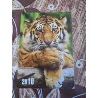 Календарик,тигр,2010