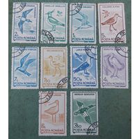 Румыния 1991 Птицы