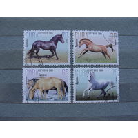 Продажа коллекции с 1 рубля! Фауна на почтовых марках мира.