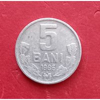 5 бани 1995 г. Молдова