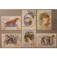 СССР. 1965г. Породы собак.