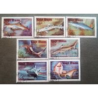 Марки Вьетнам 1991 год Акулы