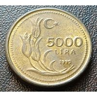 Турция 5000 лир, 1995    ( 1-13-4 )