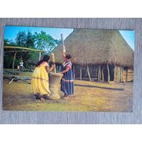 Этнография. Панама. Индейцы гуайми, очищающие рис от шелухи