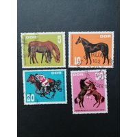 ГДР 1967 Полная серия марок "Лошади" (спецгашение с клеем и следами от наклеек) Mi.1302-1305 каталог 4.50 евро
