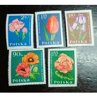 Польша 1964 Флора цветы