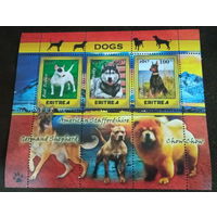 СЕРИЯ Блоков кошки собаки тигры  фауна  MNH