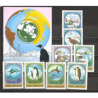 ФФ1 Монголия 1980 Фауна