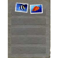 КНДР, 1986  РЫБЫ,     2м   гашен
