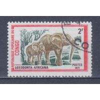 [2298] Конго 1972. Фауна.Африканский слон. Гашеная марка.