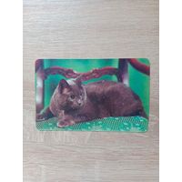 Календарик 1992