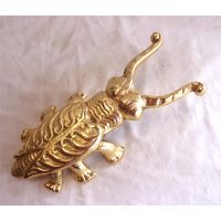 Жук Рогач Денщик Помощник