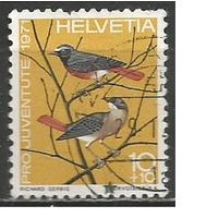 Швейцария. Птицы. Горихвостка садовая. 1971г. Mi#960.
