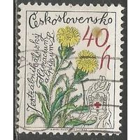 Чехословакия. Цветы. Ястребинка альпийская. 1979г. Mi#2497.