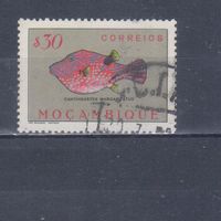 [1123] Португальский Мозамбик 1951. Фауна.Рыба.0,30 э. Гашеная марка.