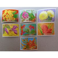 Защита природы. Цветы Австралии и Океании.