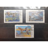 СССР. 1990 год. Фауна. Птицы. Утки (426)