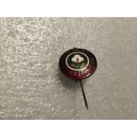 ДСО Пахтакор Ташкент тяжёлый