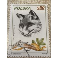 Польша 1981. Охота. Лиса. Марка из серии
