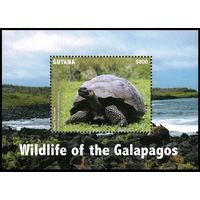 2017 Гайана 9388/B971 Рептилии - Черепахи 9,00 евро