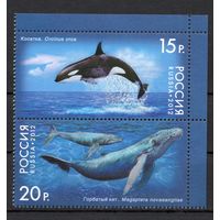Россия 2012. Киты. 2м сцепка 1556-57 (907)