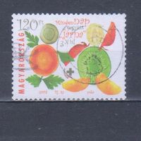 [96] Венгрия 2003. Здоровое питание.Овощи и фрукты. Одиночный выпуск. Гашеная марка.