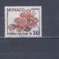 [2373] Монако 1960. Фауна.Рыба. Гашеная марка.