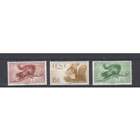 Фауна. Белки. Ифни. 1955. 3 марки. Michel N 154-156 (2,0 е)