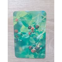 Календарик 1991